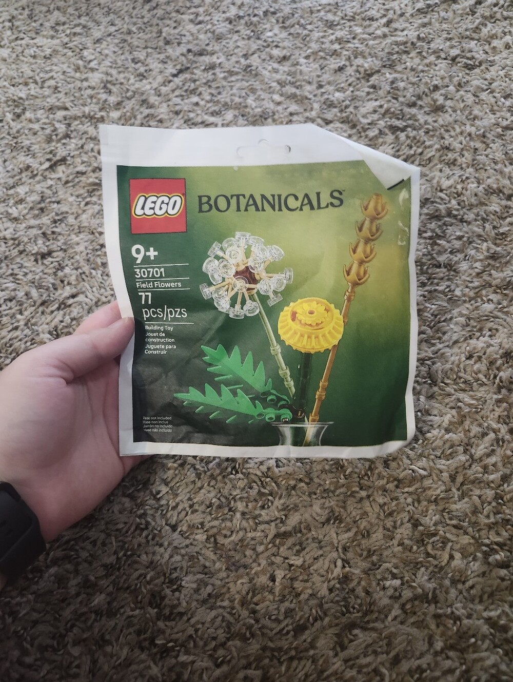 LEGO Botanicals Field Flowers Set - Green, Yellow, Clear